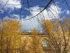 -辽宁大学(崇山校区)