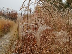 -北京雁栖湖国际会展中心