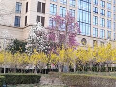 -远洋未来广场(育慧北路店)