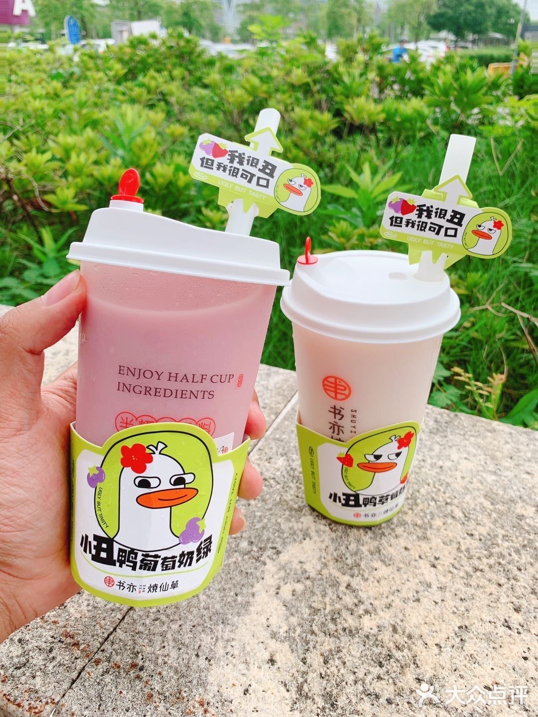 苏州探店｜最近书亦烧仙草上新啦！