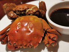-Social 秀西餐厅-长沙瑞吉酒店(运达店)