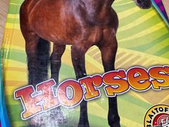 -GogoReading少儿英语分级阅读(双井中心店)