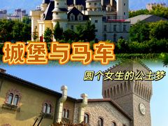 -北京张裕爱斐堡酒庄