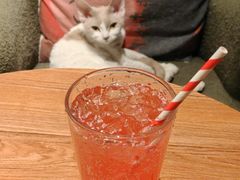 -后院儿·精酿·塔罗Happy Bar
