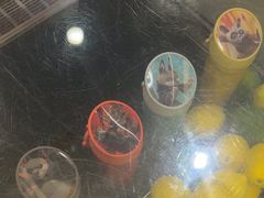 -德克士(五洲餐厅)