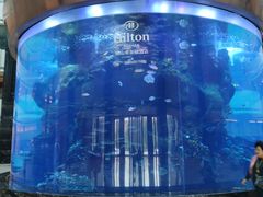 -OPEN開全日自助餐厅·牛肉火锅·海鲜(佛山希尔顿酒店)