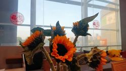 -卡莫瑜伽·普拉提