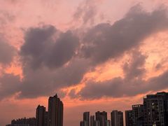 -广西壮族自治区药用植物园