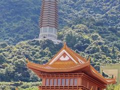 -深圳仙湖植物园