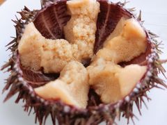 马粪海胆-海胆小馆(东北水饺·春柳店)