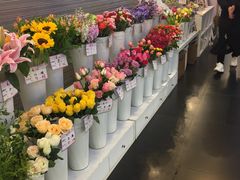 -飞洲国际广场