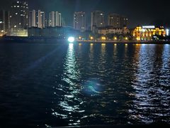 -绿岛公园(滨海新区)