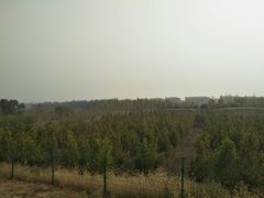 -东郊湿地公园