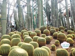 -南山植物园
