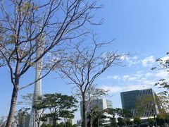 -二沙岛艺术公园