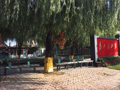 院子-人民公社大食堂(顺义总店)