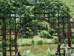 -鹅湖玫瑰文化园