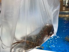 -盒马鲜生(悦峰店)