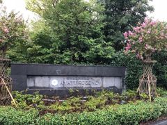 -上海崇明金茂凯悦酒店