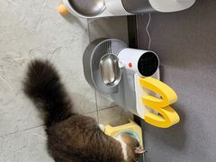 -PETKIT 小佩宠物·低压洗护·美容·寄养(安远店)