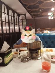 -东方麒麟·潘多拉SALON