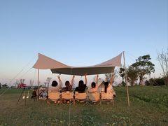 -春花秋色城市公园