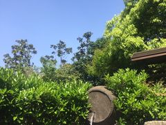 -杭州第一世界大酒店·云曼温泉