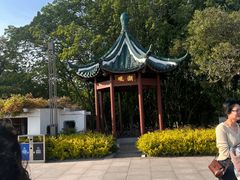 -瀛洲公园