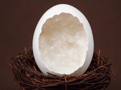 -爱儿美儿童摄影(康馨家园店)