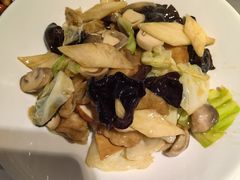 -席家花园(巨鹿花园店)