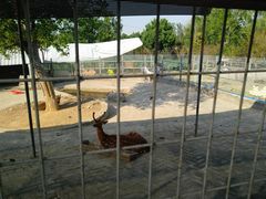 -武汉紫薇都市田园