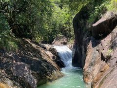 -广州白江湖森林公园