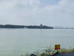 -金鸡湖桃花岛