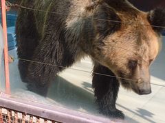 -荆州中山公园动物园