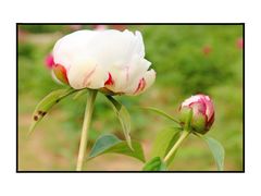 -中国药科大学（江宁校区）-图书馆