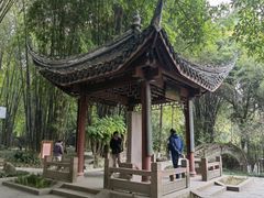 -望江楼公园