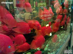 200907172488-鸿瑞興面馆(梅岭店)