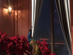 -隐域·Brunch&Bistro
