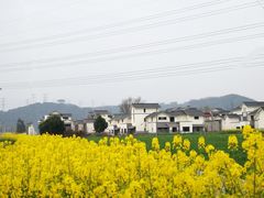 -桤木河湿地公园