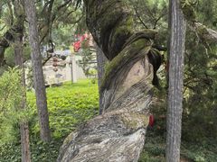 -东天目山风景区