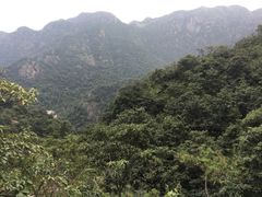 -雁荡山三折瀑景区