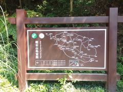 -缙云山景区