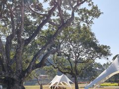 -广州白江湖森林公园