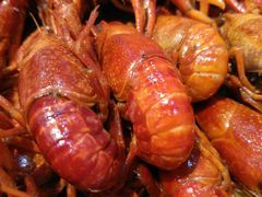 -华仔龙虾(永乐路总店)