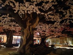 -蓝鲸湾汤泉(包河店)