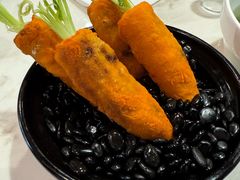 -丁老爷子苏香圆