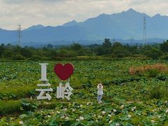 -黄牛肉馆·皖南土菜