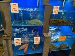 水产区-宁波状元楼酒店(和义路店)