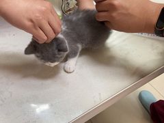 -美联众合动物医院·24h京西诊疗中心