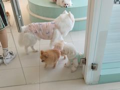 -怪兽屋·羊驼·猫咖·狗咖(俊华广场店)